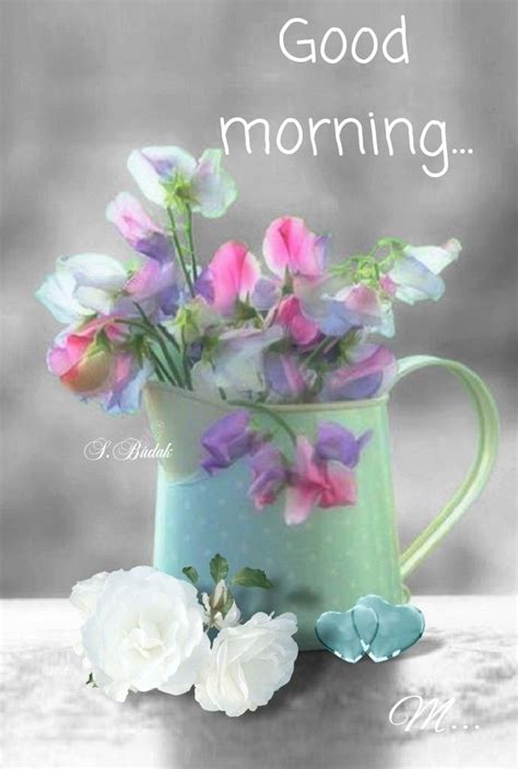 Pin By Mamta Yadav On Good Mornings Pretty Flowers Beautiful Flowers