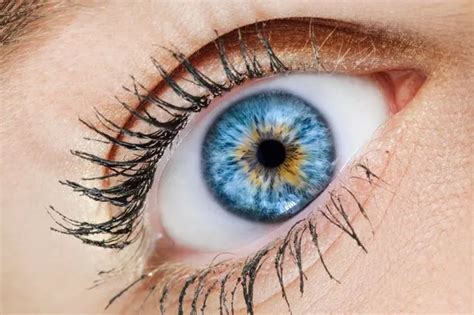 Doctor Debunks Theory That People With Blue Eyes All Have One Common