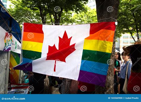 Canadian Rainbow Flag During Gay Pride Editorial Image Image Of Partnership Festival 165560900