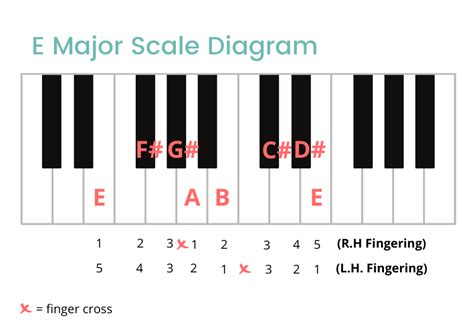 E Major Scale On The Piano Notes Fingerings And More