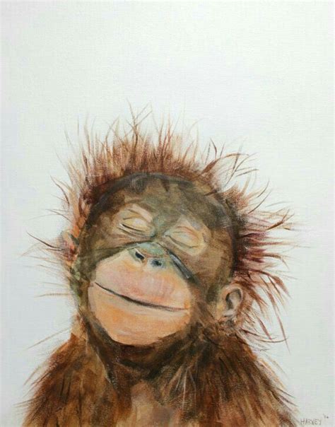 1/2 meter anyaman rami atau goni (jute webbing) dengan lebar 3 inci. Kartun Orangutan