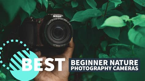 Best Beginner Cameras For Nature Photography In 2023 Youtube