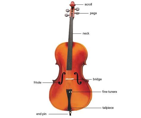 Cello Diagram | Cello | Pinterest | Cello and Instruments