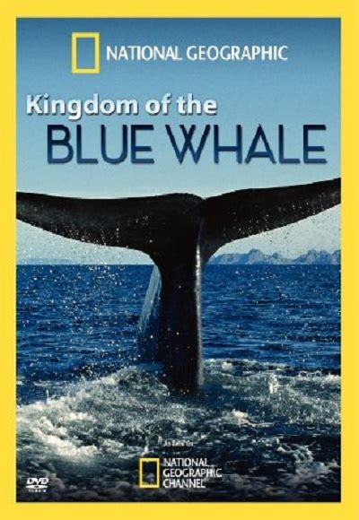National Geographic - Kingdom Of The Blue Whale (2009) - Documentary