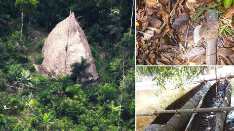 Uncontacted Amazon Tribe Revealed For The First Time In Vale Do Javari