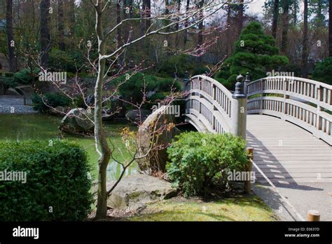 Zen Bridge Over Asian Garden Pond Stock Photo Alamy