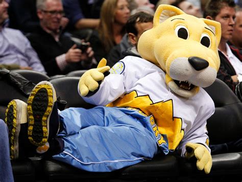 — phoenix mascot, the suns gorilla, was punched in the nose by a heat fan in an altercation that apparently all started when the primate was. Who Are The Best Mascots In The NBA? | Playbuzz