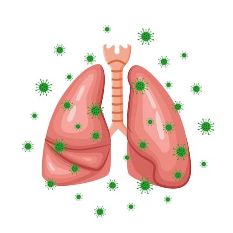 Premium Vector Vector Drawing Of Lungs With Viruses Human Organ Lungs
