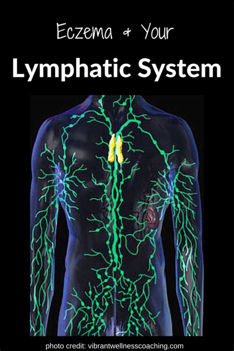 4 Tips to Drain the Lymphatic System & Take out the Body’s Trash