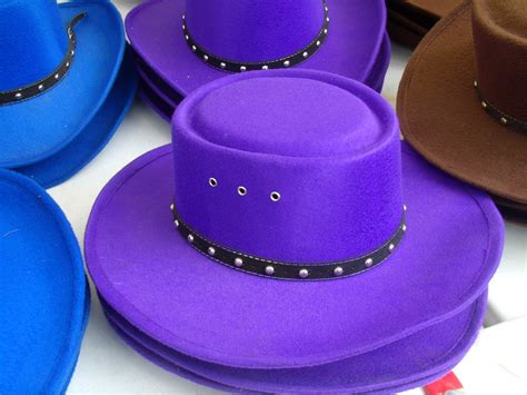 Purple Hats 2010 County Fair Hillsdale Oh Neristar Flickr