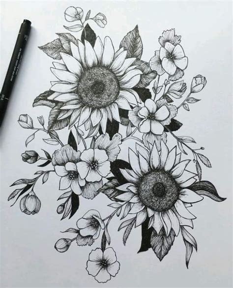 Rose Drawing Easy Sunflowers Intertwined With Other Flowers Black And