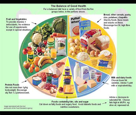 These foods include infant cereals, meat or other proteins, fruits, vegetables, grains, yogurts and cheeses, and more. Definition Of Diet Plan - Diet Plan