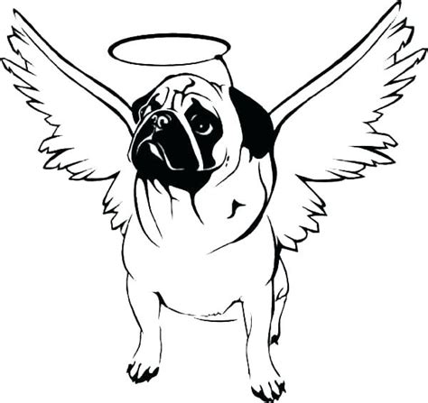 Adult Coloring Pages Pug At Free Printable Colorings