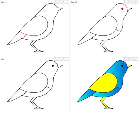 Wie man einen Vogel Schritt für Schritt einfach mit Bildern zeichnet