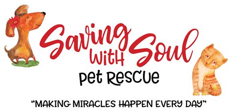 Saving with Soul Pet Rescue’s Mission – Save With Soul