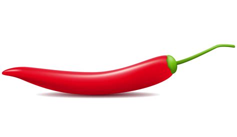 Red Hot Chili Pepper Vector Illustration 514154 Vector Art At Vecteezy