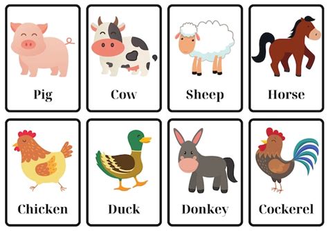 Farm Animal Flashcards Etsy Uk