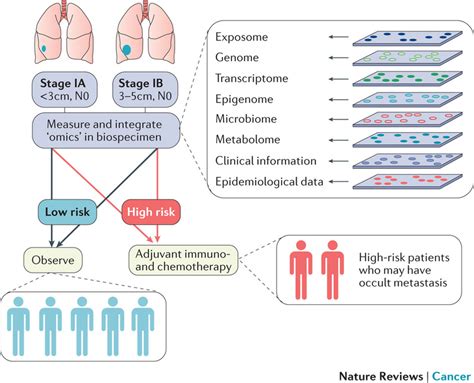 Use Of Precision Medicine To Classify Patients With Early Stage Lung