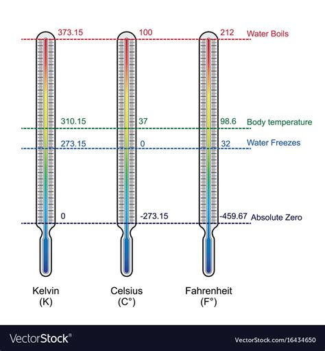 Comparison Three Temperature Scales Royalty Free Vector