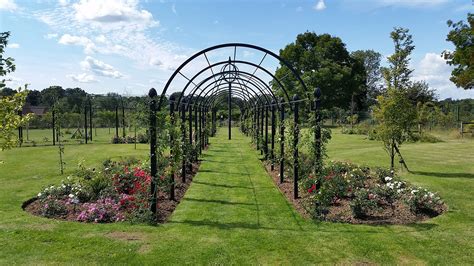 It is believed to have been planted by queen elizabeth i. Berceau St. Albans - de Orangerie