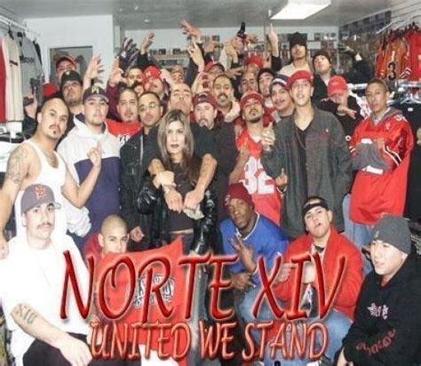 Filipino Gangs And Fraternities The Northern Structure Nortenos
