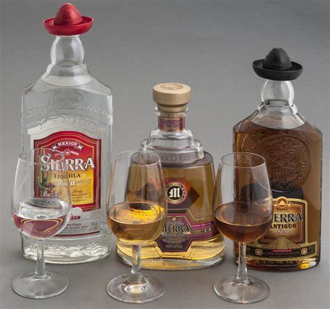 Tequila Commons Wikimedia Org Wiki File Ralfr Wlc Flickr