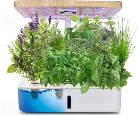 Best Indoor Hydroponic Herb Garden 5 Great Options