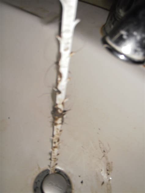 Technoform freestanding laundry tub is made of 100% recycled material. Unclog Your Kitchen Sink Drain Tonight with Zip-It Tool ...