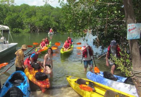 Marine Biology Florida Keys Trip 2015 Rockway Mennonite
