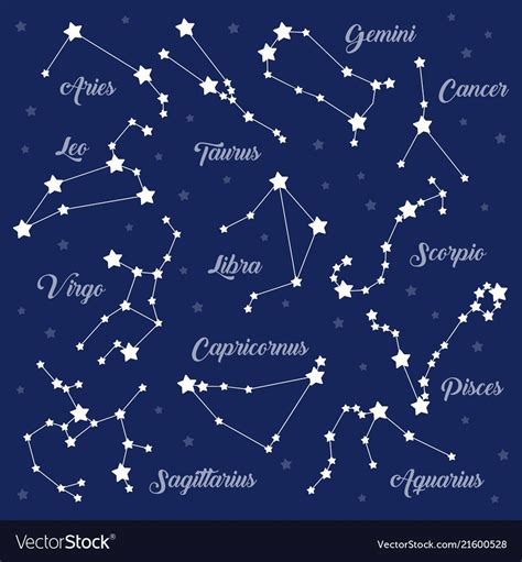 12 Zodiac Signs Constellations Set On Dark Vector Image Zodiac
