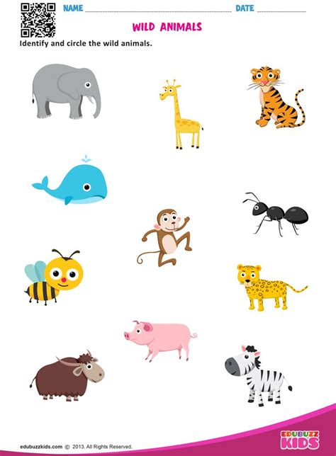 Useful for kids to identify the different kind of animals.Free animals