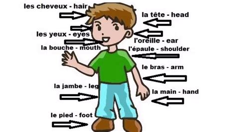 French Song Les Parties Du Corps Body Parts In French Youtube
