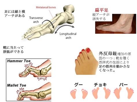 Doujin music | 同人音楽 8 янв 2015 в 18:38. 足の指をよく動かすと足の痛みがとれることが多い - 戸田整形 ...