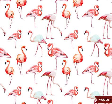 Watercolor Flamingo Vector Background Ai Uidownload