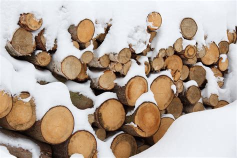 Firewood For Winter Free Stock Photo Public Domain Pictures