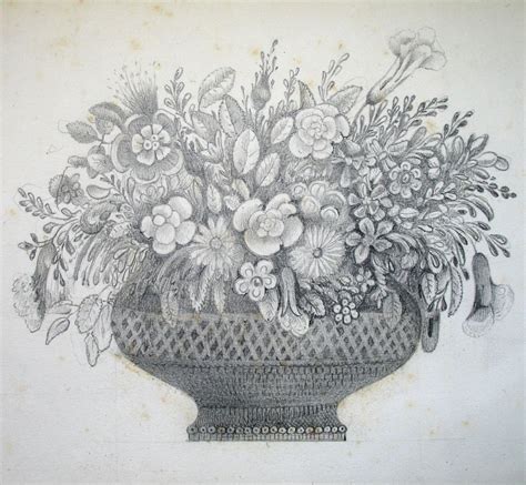 Don't forget to visit other posts on this site. Pencil Drawing Of Flower Vase With Flowers Antique French ...