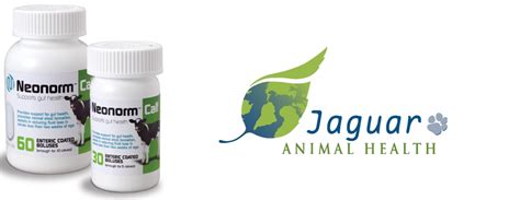Jaguar Optimistic About Diarrhea Drug - Veterinary Practice News