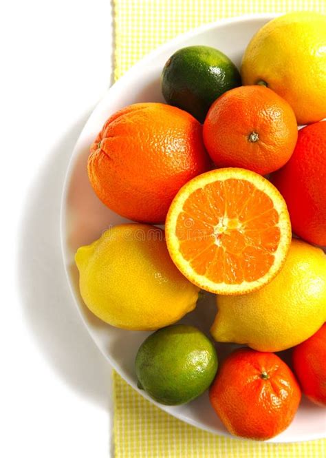 Fresh Citrus Fruits Stock Photo Image Of Fresh Round 30068254