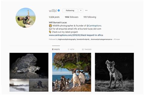 21 Inspiring Wildlife Photographers To Follow On Instagram — Wildlife Woods