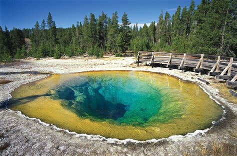 Yellowstone National Park Geysers Wildlife Landscapes Britannica