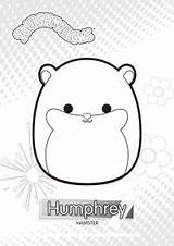 Squishmallows Squishmallow Humphrey Humphray Cuddly Paper Coloringpagesonly sketch template