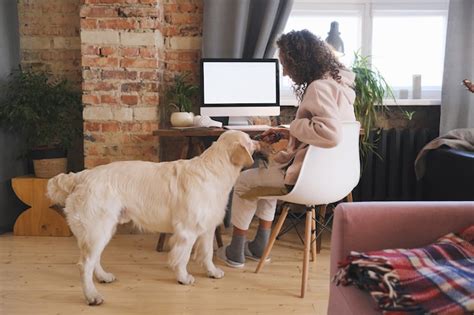 Premium Photo Young Woman Sitting With Her Dog In Front Of Computer