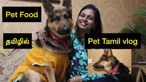 What should be diet of 2 yr. #Pettamilvlog | Homemade pet food | What is the best food ...