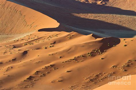 Desert Curves Namibia Photograph By Stephane Neron Fine Art America
