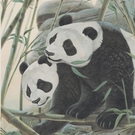 John A Ruthven Offset Lithograph Giant Pandas Late 20th Century Ebth