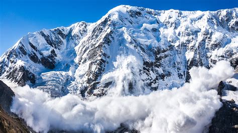 Colorado Man Who Survived Avalanche Desperately Searching For Pet Dog