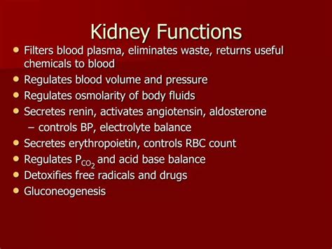 Ppt Kidney Functions Powerpoint Presentation Free Download Id9700981