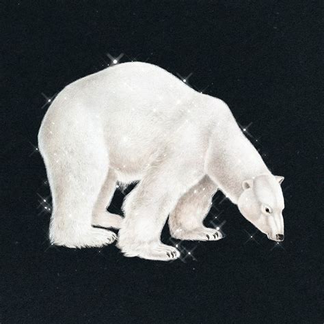 A White Polar Bear Standing On Its Hind Legs And Looking Down At