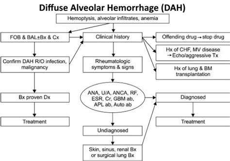 Diffuse Alveolar Hemorrhage Dah Diagnosis Algorithm Grepmed The
