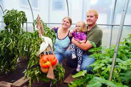 If you did not plant it there, it is a weed and it certainly. Largest Tomato Plant In The World | Cromalinsupport